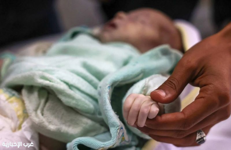 ارتفاع ضحايا الطقس البارد في غزة إلى 9 حالات وفاة