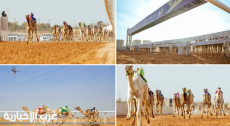 الهجن السعودية تهيمن على افتتاح مهرجان خادم الحرمين الشريفين للهجن 2026 الهجن السعودية تهيمن على افتتاح مهرجان خادم الحرمين الشريفين للهجن 2026