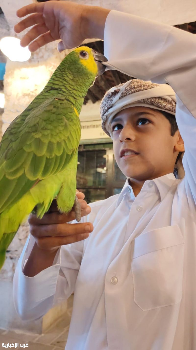 الأناقة القطرية: سيمفونية الرقي والحفاظ على الهوية في قلب الحداثة