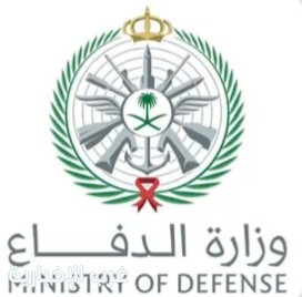 الدفاع: اعتراض وتدمير 3 مسيّرات في الشرقية