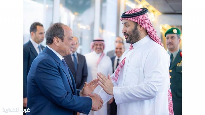 عضو مجلس الشيوخ: زيارات الرئيس لدول الخليج تؤكد أن أمن المنطقة العربية جزءا أساسيًا من الأمن القومي المصري