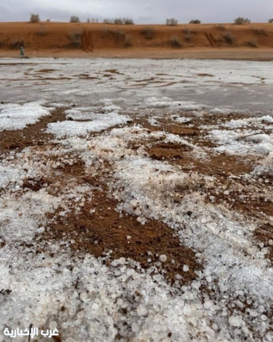 الجوف تكتسي بالأبيض.. البَرَد يحوّل الصحراء إلى لوحة نادرة