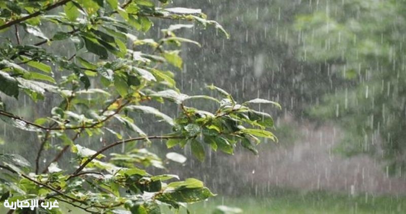 أمطار متفرقة وغزيرة تضرب عدة مناطق.. وتحذيرات من سيول ورياح شديدة أمطار متفرقة وغزيرة تضرب عدة مناطق.. وتحذيرات من سيول ورياح شديدة