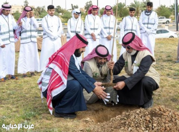 الجوف تطلق مبادرة تشجير لتعزيز الظل والاستدامة في سكاكا الجوف تطلق مبادرة تشجير لتعزيز الظل والاستدامة في سكاكا