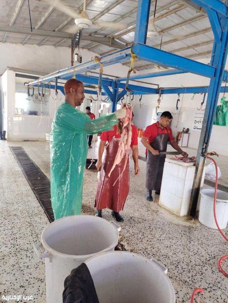 البيئة" تُكثّف جولاتها الرقابية على مسالخ وأسواق رابغ والعرضيات. البيئة" تُكثّف جولاتها الرقابية على مسالخ وأسواق رابغ والعرضيات.