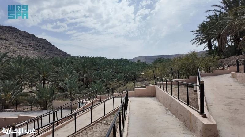 وادي "عين النبي" برهاط.. إرث طبيعي وتاريخي يمتد لأكثر من 1400 عام وادي "عين النبي" برهاط.. إرث طبيعي وتاريخي يمتد لأكثر من 1400 عام