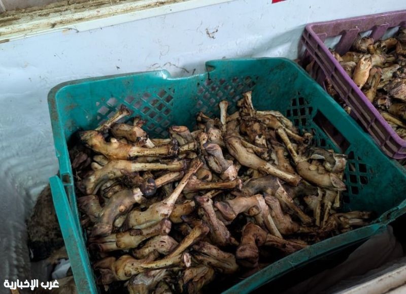 أمانة جدة تُتلف أكثر من 3 أطنان ذبائح فاسدة وتُغلق موقعين جنوب المحافظة أمانة جدة تُتلف أكثر من 3 أطنان ذبائح فاسدة وتُغلق موقعين جنوب المحافظة