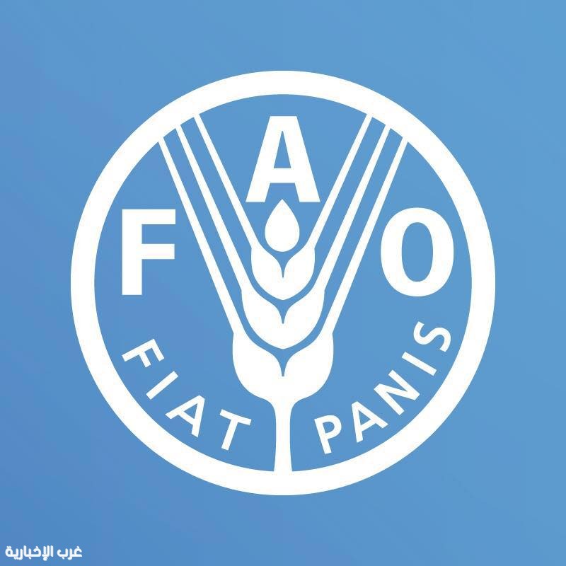 "الفاو": أزمة مضيق هرمز تهدد بارتفاع عالمي في أسعار الغذاء