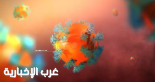 الصحة العالمية تؤكد.. "6 إصابات إلى الآن بفيروس هانتا"