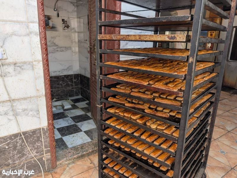 أمانة جدة تُغلق موقعًا عشوائيًا وتُتلف 9 أطنان من الأغذية الفاسدة شرق المحافظة