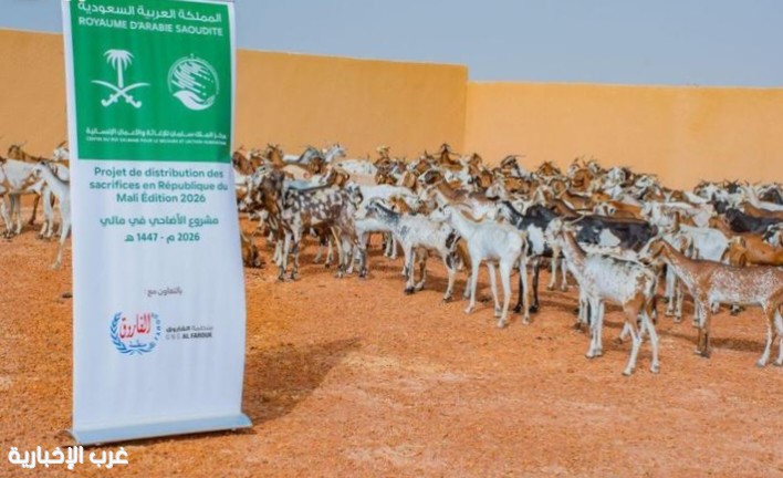 مركز الملك سلمان يوزع 600 أضحية للأسر المحتاجة في مالي مركز الملك سلمان يوزع 600 أضحية للأسر المحتاجة في مالي