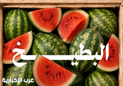 بإنتاج وفير يتجاوز (620) ألف طن.. البطيخ يشهد ذروة الإقبال خلال موسم الصيف