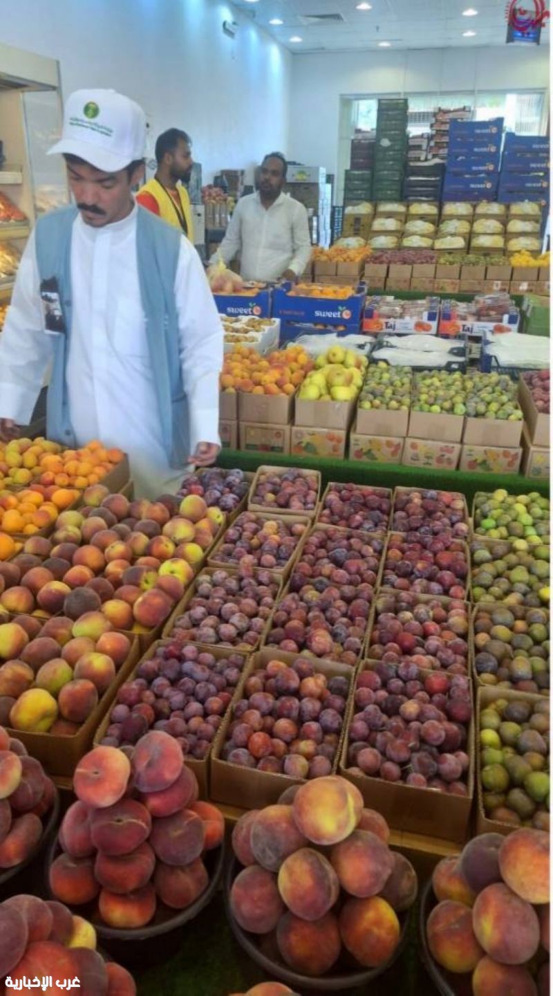الفواكه الصيفية تُنعش الطائف.. موسم زراعي يزدهر بالسياحة ويحرك الاقتصاد المحلي
