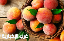 أكثر من (31) ألف طن من الخوخ المحلي تغزو الأسواق بالمملكة