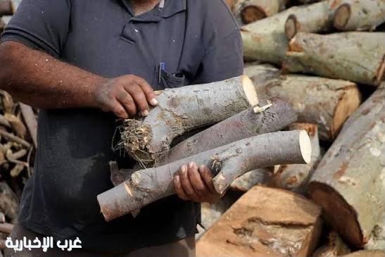 مهن من الماضي ..  الحطاب مهنة من الماضي تروي حكاية الكفاح