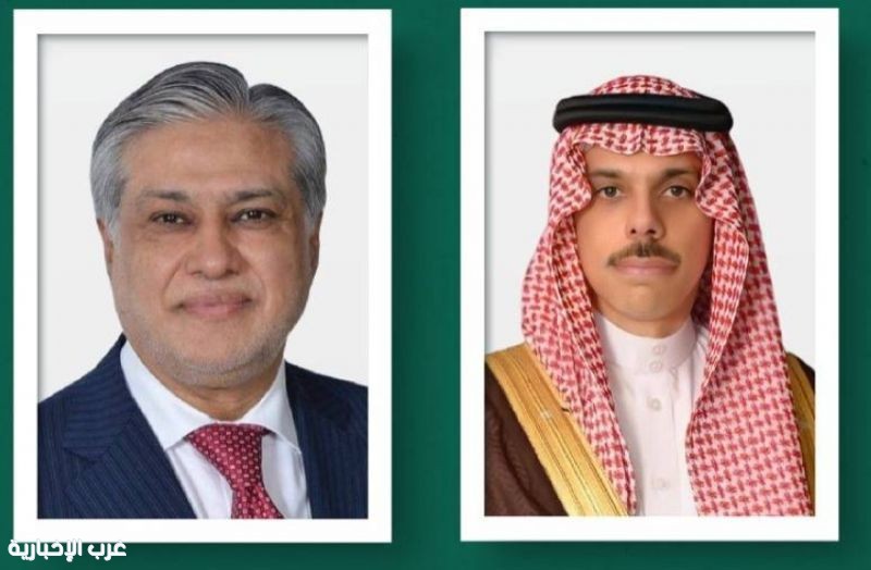 وزير الخارجية ونظيره الباكستاني يبحثان تطورات المنطقة وسبل احتواء التصعيد