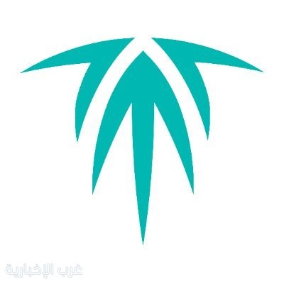 صندوق التنمية العقارية يطلق برنامج "التمويل البديل" لدعم تملك المساكن صندوق التنمية العقارية يطلق برنامج "التمويل البديل" لدعم تملك المساكن