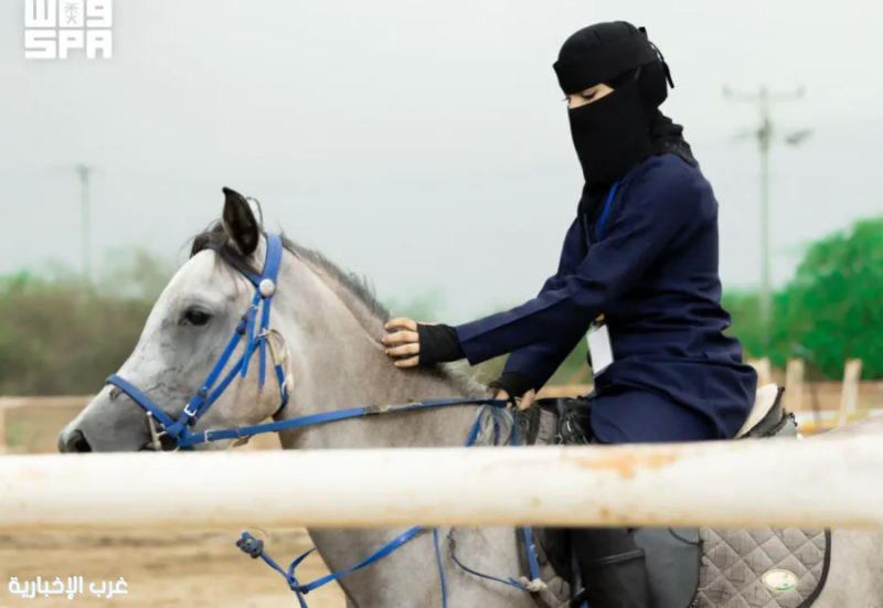الخيل في جازان.. إرث يروي الأصالة في يومه العالمي