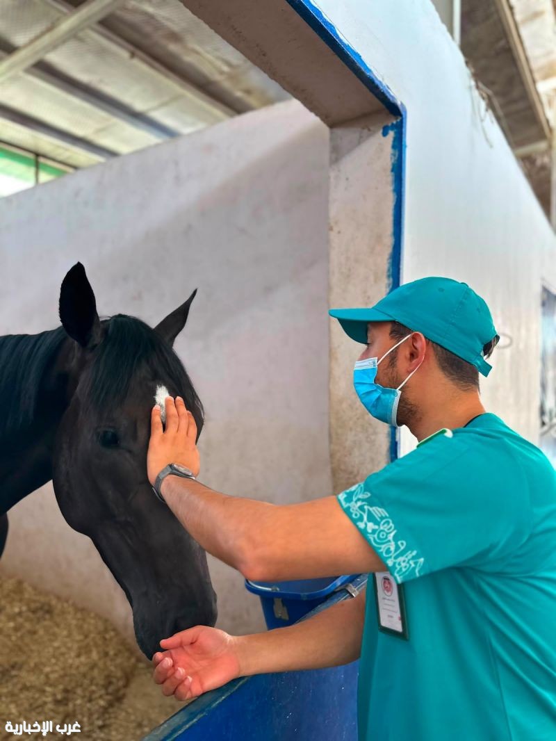 مركز "وقاء" يعزز الصحة الحيوانية والأمن الحيوي في موسم سباقات الخيل بالطائف