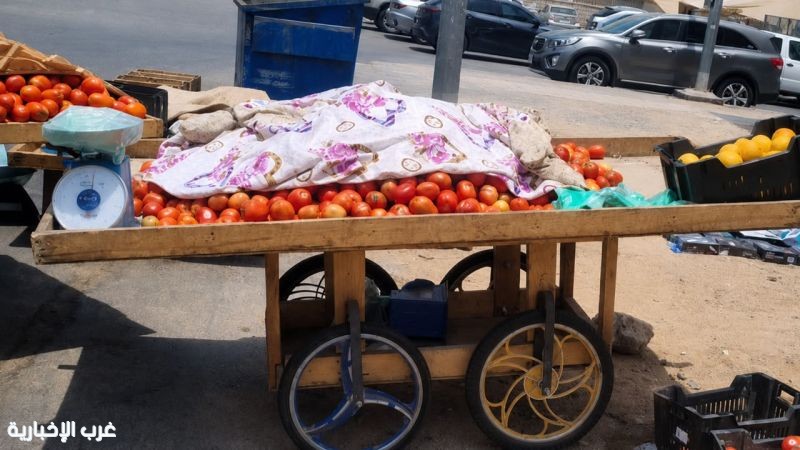 أمانة جدة تتعقب البيع العشوائي وتصادر أكثر من 2 طن خضروات وفواكه