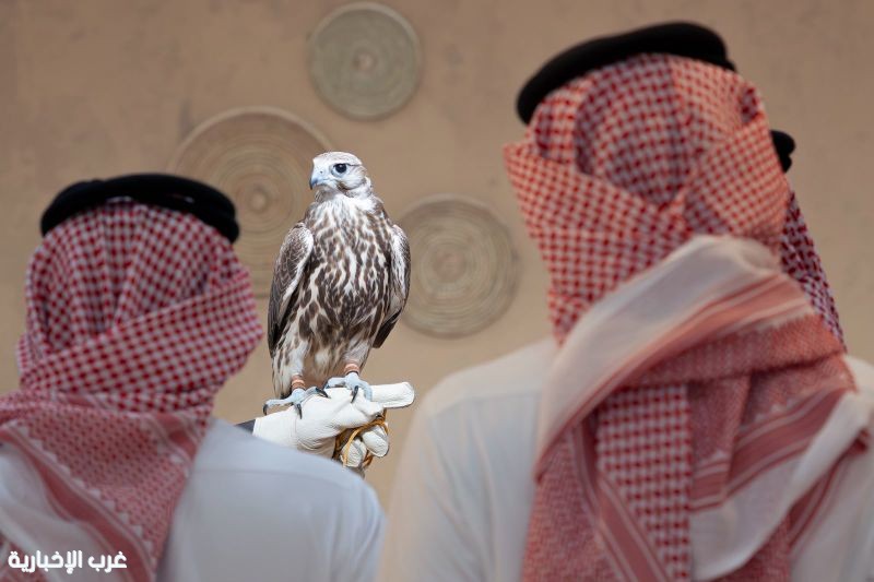 المركز الوطني للصقور يفتتح أولى فعالياته "المزاد الدولي لمزارع إنتاج الصقور 2026 المركز الوطني للصقور يفتتح أولى فعالياته "المزاد الدولي لمزارع إنتاج الصقور 2026