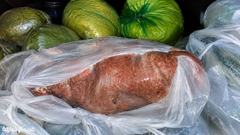 أمانة جدة تضبط لحومًا فاسدة وتتعقب البيع العشوائي بنطاق بريمان أمانة جدة تضبط لحومًا فاسدة وتتعقب البيع العشوائي بنطاق بريمان