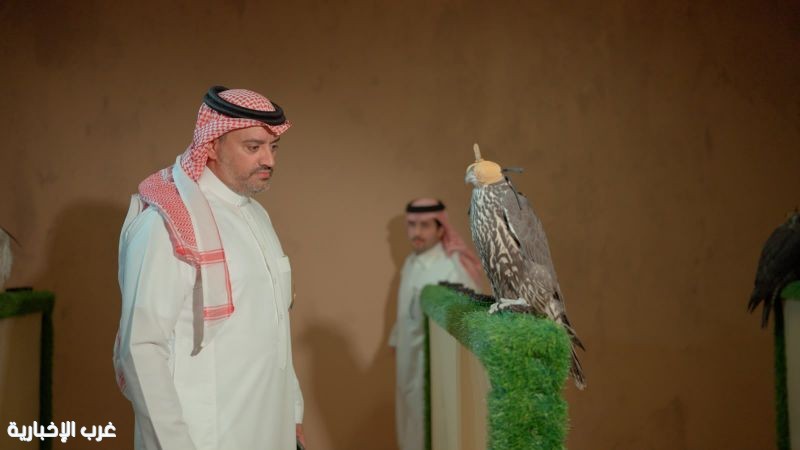 صقار سعودي يستثمر 6 ملايين ريال في منظومة الصقور.. ويبدأ في الربح من السنة الأولى صقار سعودي يستثمر 6 ملايين ريال في منظومة الصقور.. ويبدأ في الربح من السنة الأولى