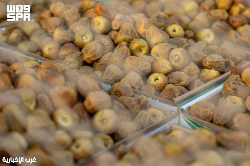 بمشاركة واسعة للمزارعين.. انطلاق «موسم تمور الربوة 2026» في الرياض بمشاركة واسعة للمزارعين.. انطلاق «موسم تمور الربوة 2026» في الرياض