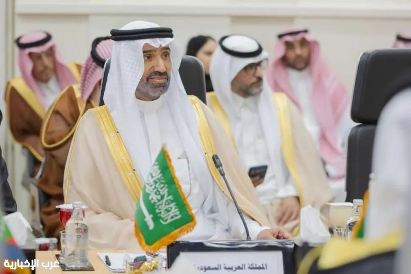 وزير الموارد البشرية والتنمية الاجتماعية يترأس اجتماع المجلس التنفيذي للمنظمة العربية للتنمية الإدارية