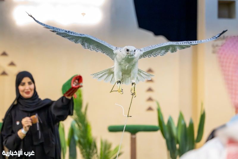 معرض الصقور والصيد السعودي الدولي.. من 120 ألف زائر في عامه الأول إلى 700 ألف في آخر نسخة معرض الصقور والصيد السعودي الدولي.. من 120 ألف زائر في عامه الأول إلى 700 ألف في آخر نسخة