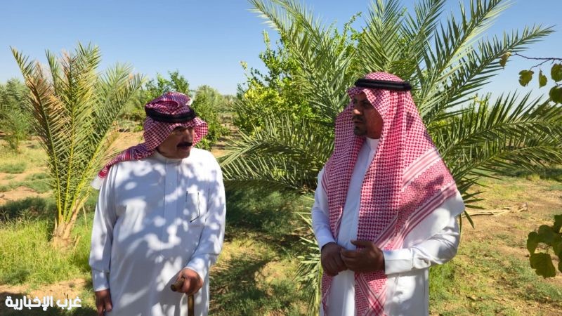 "بيئة دومة الجندل" تتابع المشاريع الزراعية وتطلع على أنواع الأشجار والمحاصيل المختلفة