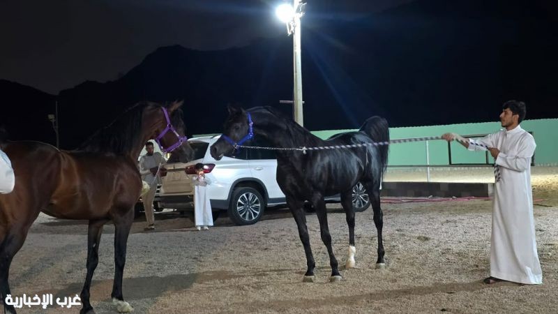 اصطبل رشد يحتضن أمسية أدبية وفروسية في الطائف