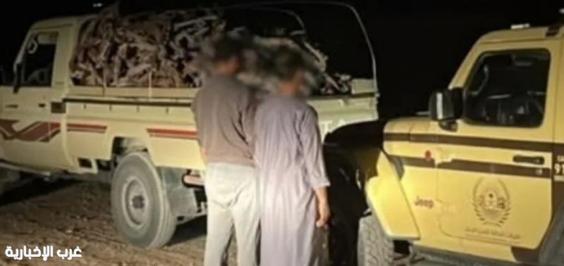 الأمن البيئي يضبط مخالفين لنقل الحطب داخل محمية الإمام تركي بن عبدالله