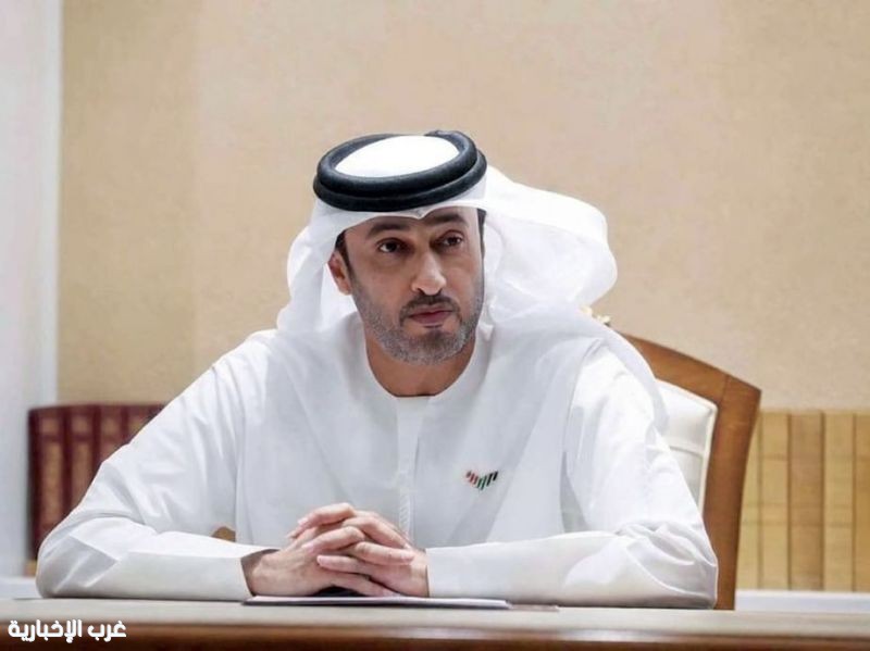 التخطيط والشروع في تنفيذ عمل إرهابي وراء واقعة رحلة فلاي دبي FZ1073