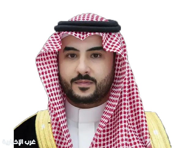 وزير الدفاع ونظيره الإيطالي يبحثان التعاون العسكري