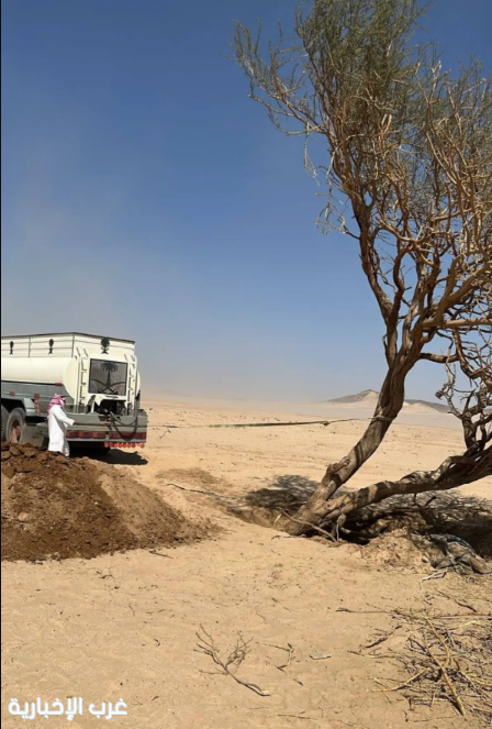 إعادة زراعة أشجار اسقطتها الأمطار والرياح شمال الطائف إعادة زراعة أشجار اسقطتها الأمطار والرياح شمال الطائف