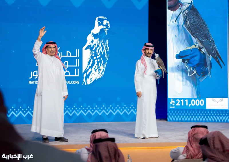 بـ 211 ألف ريال.. بيع فرخ شاهين المويلح في مزاد الصقور