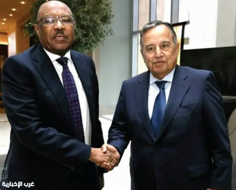 الجامعة العربية تؤكد ضرورة مساندة السودانيين لوقف الحرب الجامعة العربية تؤكد ضرورة مساندة السودانيين لوقف الحرب