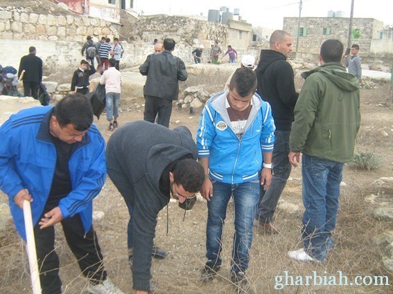 فلسطينيون يزرعون أشجار زيتون في ذكرى مقتل ناشطة أمريكية