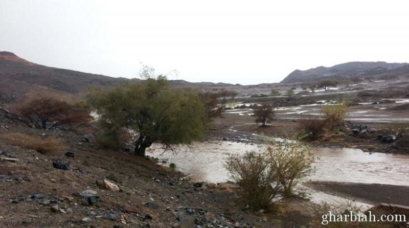  أمطار غزيرة على منطقة نجران