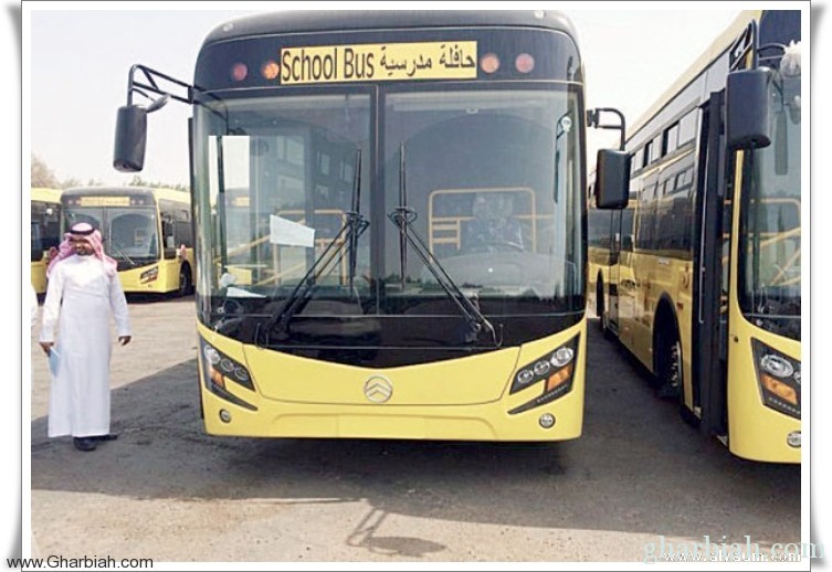 الشرقية: أسطول حافلات حديثة ينقل 33 ألف طالب وطالبة
