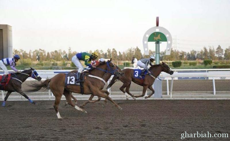  نادي الفروسية يقيم حفل سباقه الخامس ضمن موسم سباقات الخيل للمصيف بالطائف