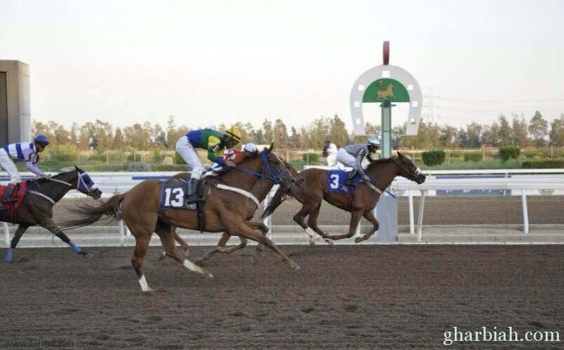 / نادي الفروسية يقيم حفل سباقه التاسع ضمن موسم سباقات الخيل للمصيف بالطائف