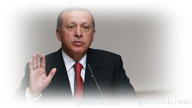 إردوغان: أطراف من بينها النظام السوري تقف خلف أحداث الشغب بالبلاد