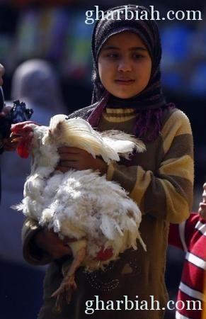 وفاة شخصين بإنفلونزا الطيور في مصر