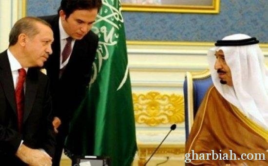 أردوغان: نتفق مع السعودية في كل الأمور عدا مصر