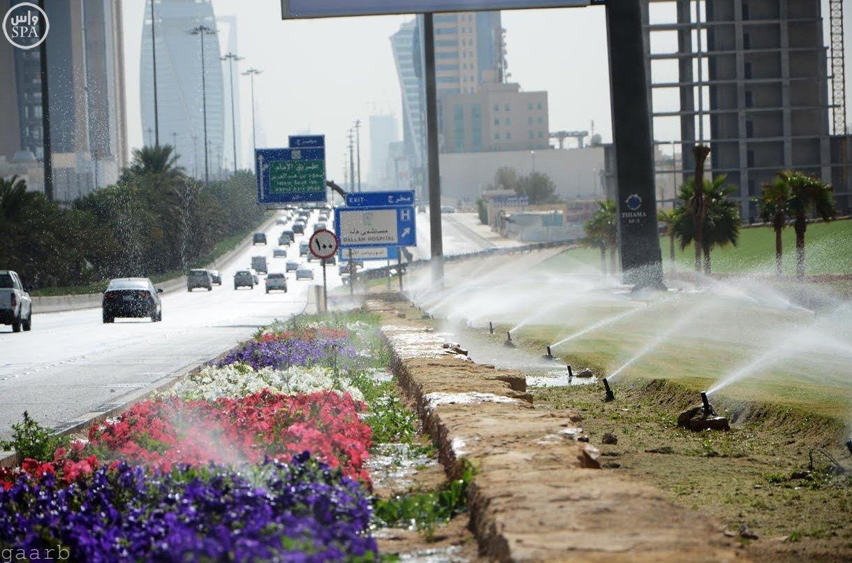 أمانة الرياض تزين ميادين وشوارع العاصمة بـ 3 ملايين زهرة