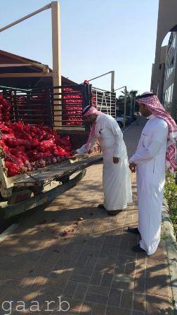 بلدية وسط الدمام تضبط ٦٧٠٠ كيس بصل غير صالح للاستهلاك الادمي