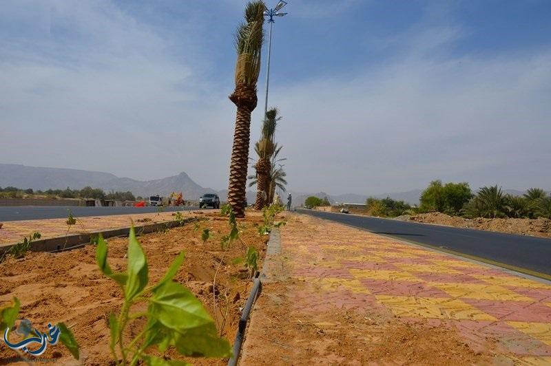 أمانة نجران تنجز 89 % من مشروع تحسين وتجميل طريقي الملك عبدالله والأمير سلطان