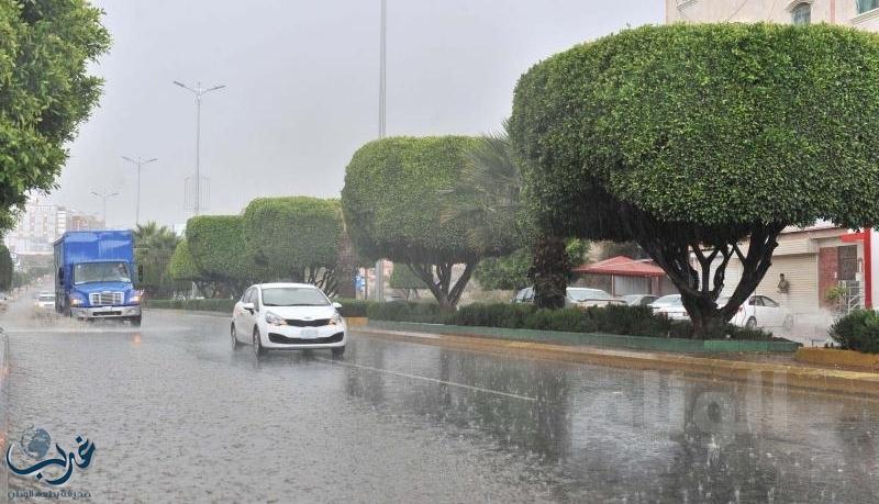 فرصة لهطول أمطار رعدية على عدد من مناطق المملكة